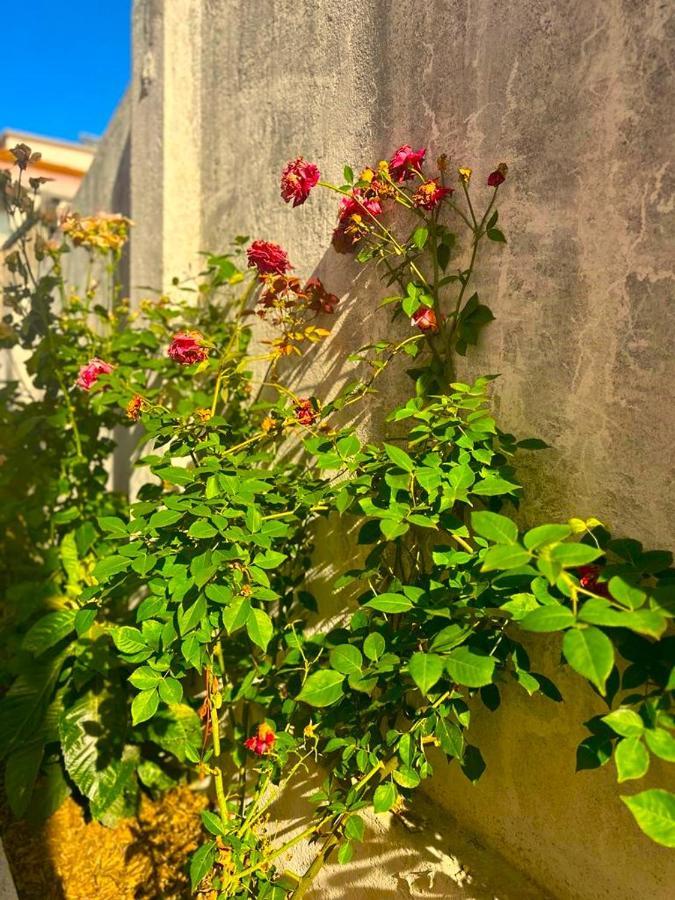 Lisabonna Guest House Amadora Ngoại thất bức ảnh